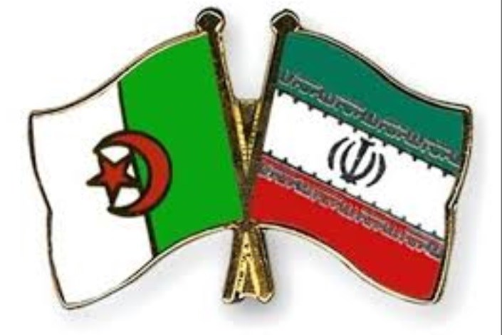  زمینه های همکاری ایران و الجزایر در بخش برق بررسی شد