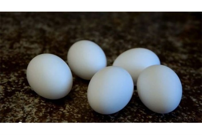 سنجش آلودگی‌های زیست‌محیطی با کمک تخم‌مرغ!