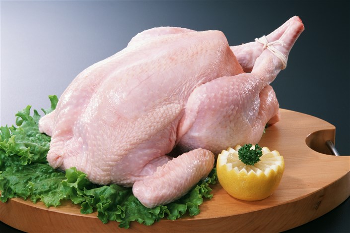 قیمت  مرغ درتهران رشد نداشت/هزارو 100تن گوشت مرغ روزانه در تهران عرضه می شود