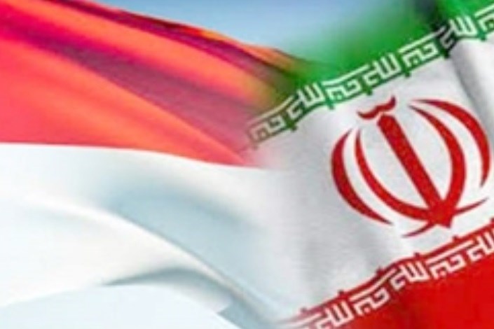 صادرات غیرنفتی ایران به اندونزی ٢٥ درصد افزایش یافت