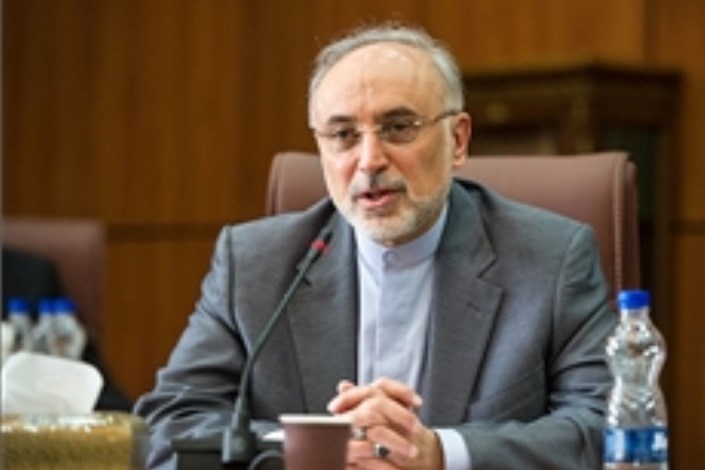 تولید ٢٠ هزار مگاوات برق هسته‌ای در بلندمدت از اهداف ایران است