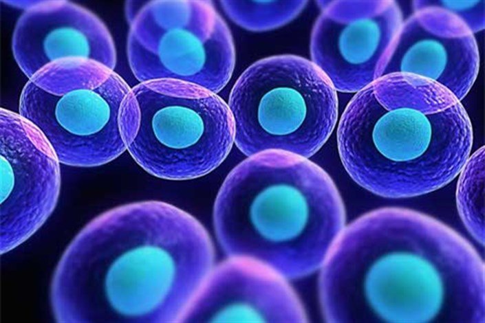 ساخت حسگرهای زیستی ایرانی برای شناسایی سلول های بنیادی سرطانی