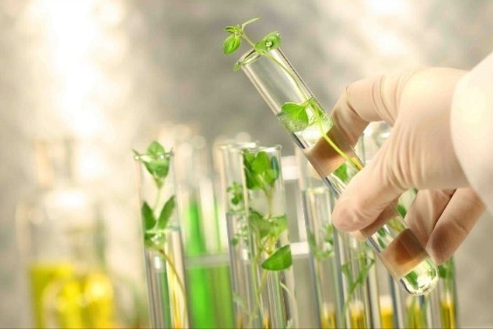 اقدام جهاد دانشگاهی اردبیل برای تولید انبوه گیاهان دارویی و فرآوری آنها