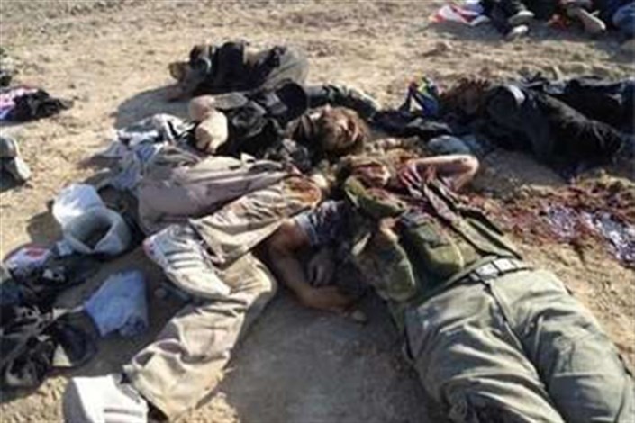 هلاکت هفت تروریست داعشی در غرب الانبار