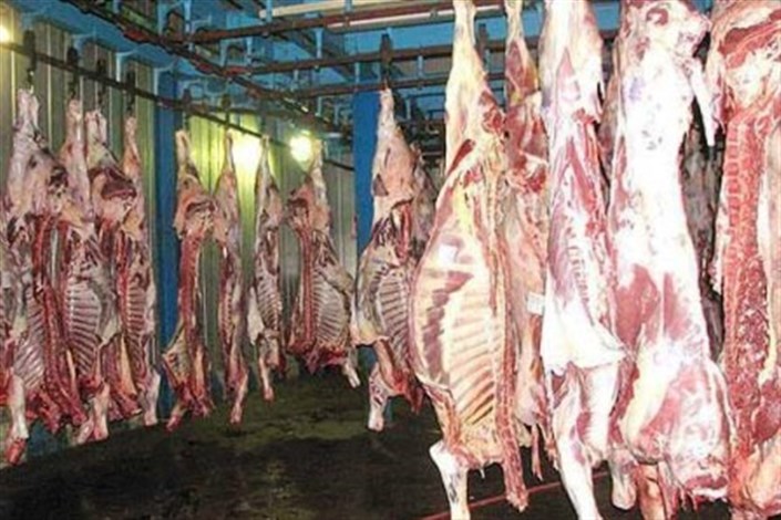 مردم گوشت آلوده خوردند؟ /ابهام بزرگ در سلامت گوشت‌های برزیلی