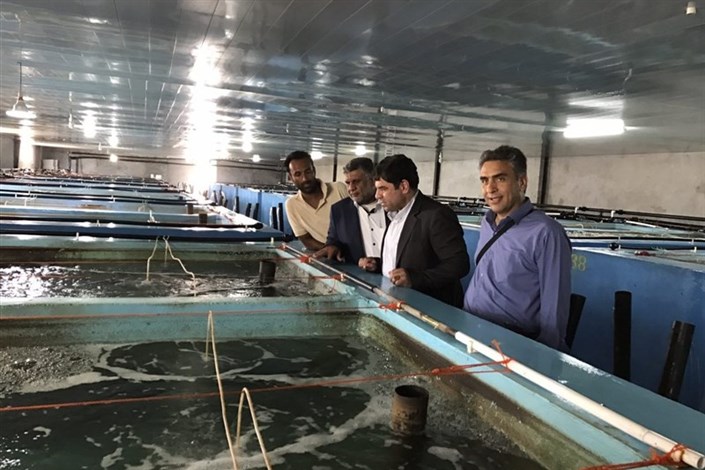 نخستین مرکز تولید بچه ماهی خلیج فارس به بهره‌برداری رسید 