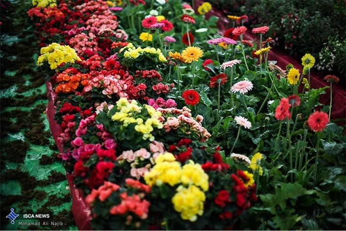 آغاز به کار پانزدهمین نمایشگاه بین المللی گل و گیاه تهران