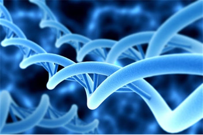 دستاوردهای طرح ژنوم مواد بررسی شد