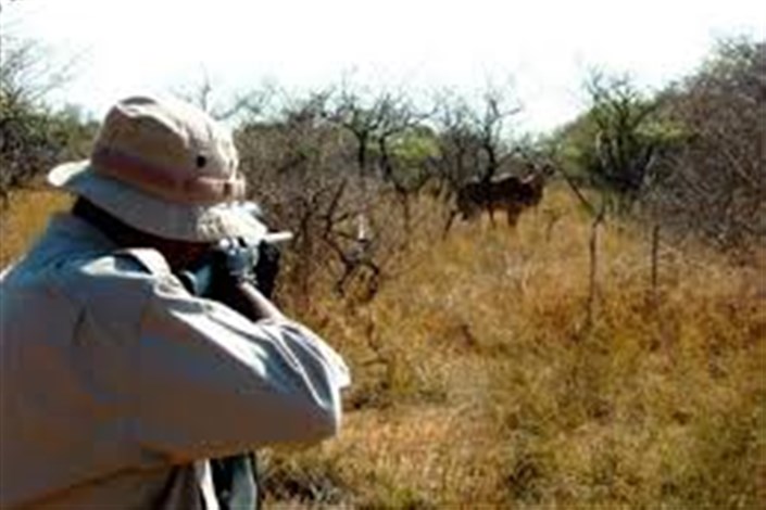 درخواست یک محیط بان: شکارچیان اسلحه‌هایشان را به موزه محیط زیست بدهند