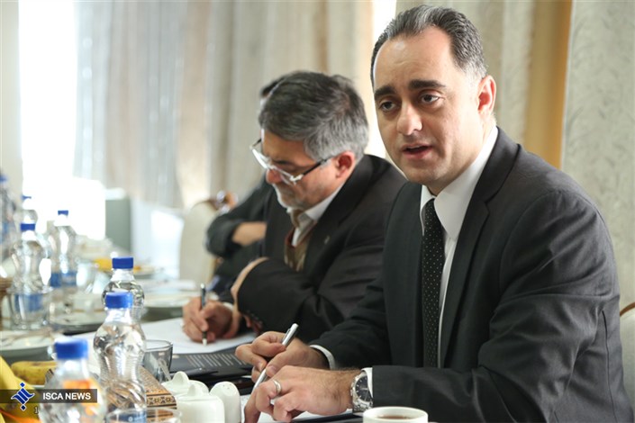 احتشام زاد: دخالت دولت باعث خدشه دار شدن قرارداد با خودروسازان خارجی شده است