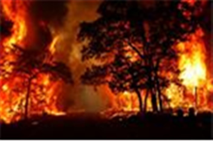 کاهش 75 درصدی آتش سوزی در مناطق حفاظتی محیط زیست