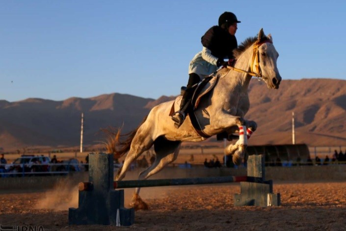 دومین دوره مسابقات پرش اسب های اصیل ترکمن درخراسان شمالی برگزار شد