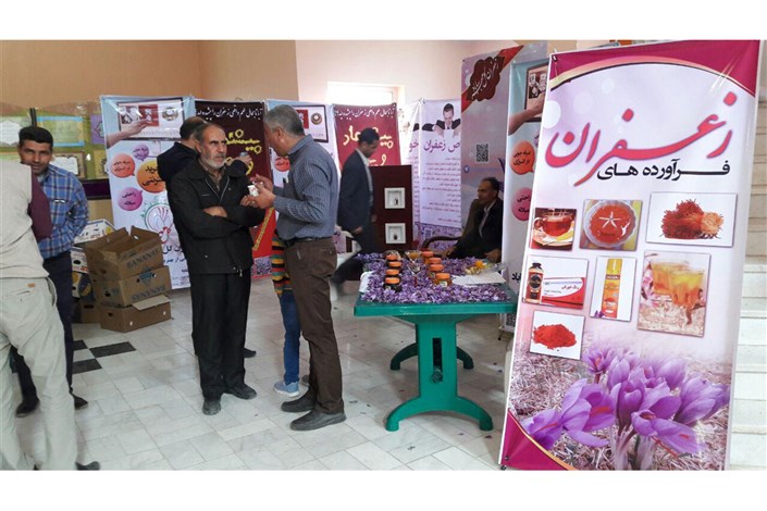 هفته فرهنگی بهاباد برگزار شد/ طلای سرخ و آشنایی با جاذبه های شهری