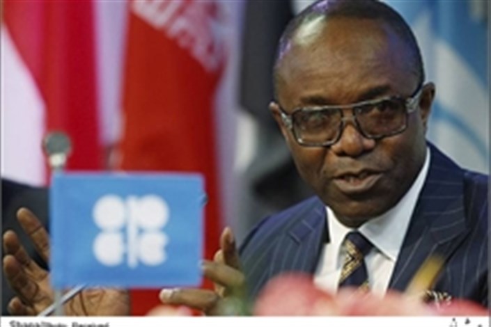 وزیر نفت نیجریه از همکاری با شرکت‌های خارجی دفاع می‌کند