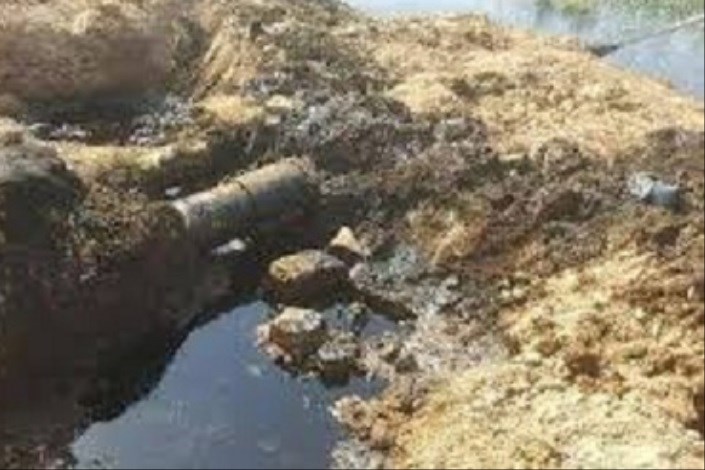 آخرین جزئیات درباره نشت نفت در اراضی کشاورزی منطقه دارخوین شادگان