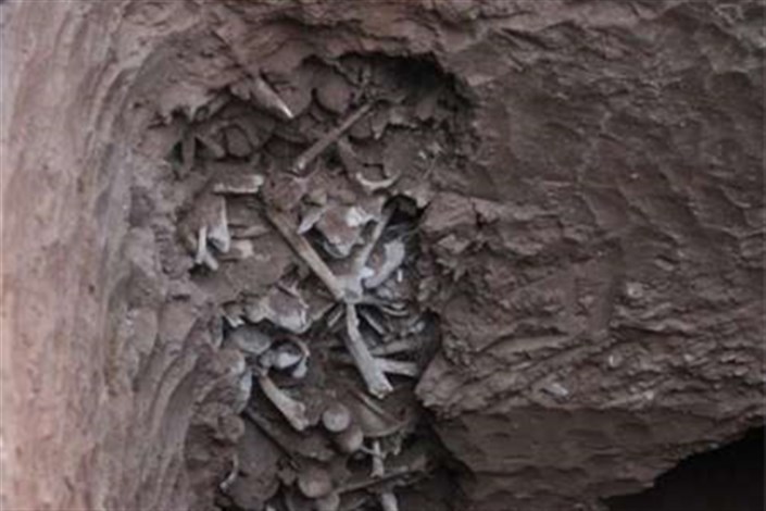 جزییات تازه از پیدا شدن استخوان های قدیمی در تبریز
