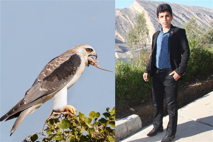 نجات پرنده شکاری توسط دبیر شورای هماهنگی کانون های فرهنگی واحد اندیمشک