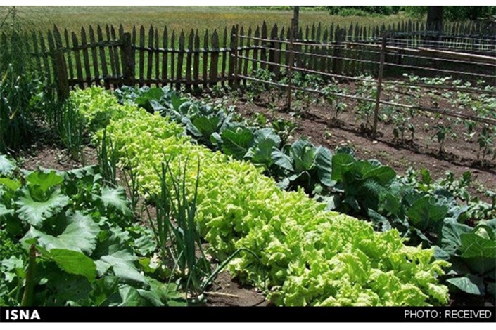 توصیه های هواشناسی کشاورزی برای روزهای پایانی بهمن 