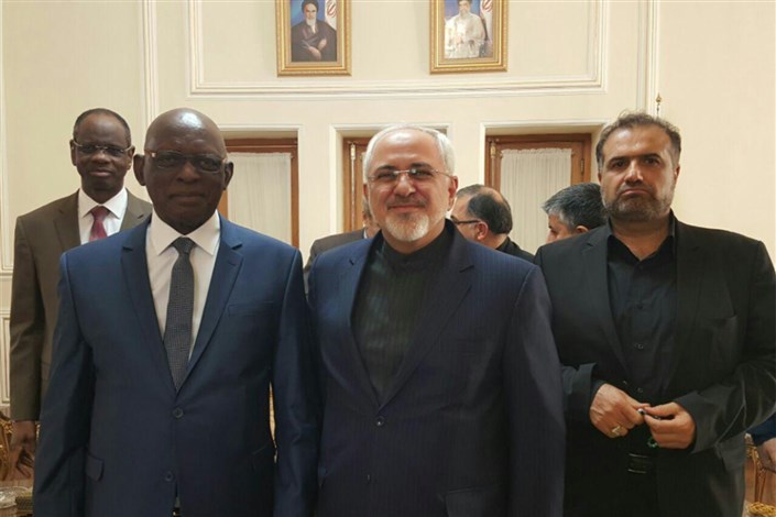 دیدار رئیس مجلس مالی با ظریف