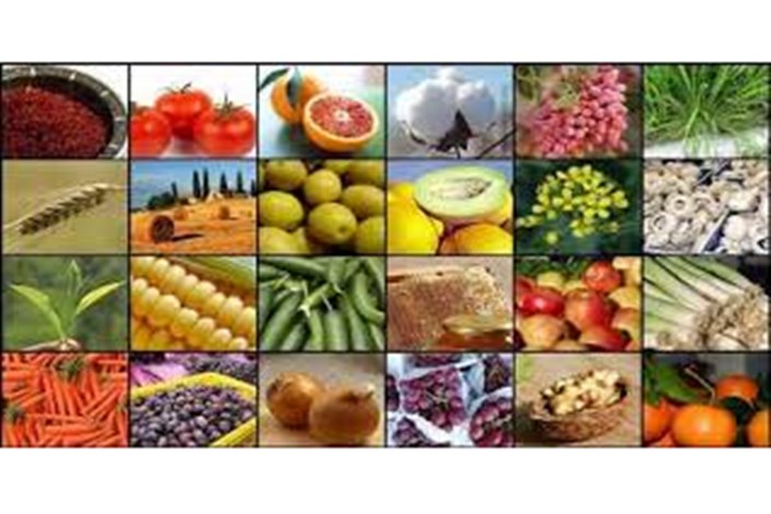 مرکز آمار ایران اعلام کرد؛ متوسط قیمت محصولات کشاورزی در زمستان ۹۵
