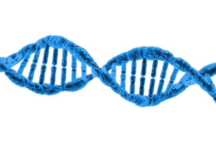 آیا بشر می‌تواند با مهندسی ژنتیک روی مسیر طبیعی تکامل موثر باشد؟ 