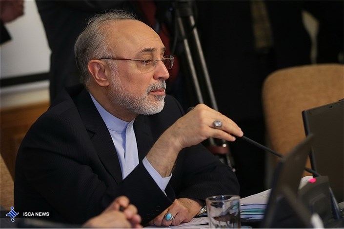 صالحی: احترام نگذاشتن به برجام و بی توجهی به نگرانی‌های امنیتی ایران تعامل ما را به خطر می‌اندازد