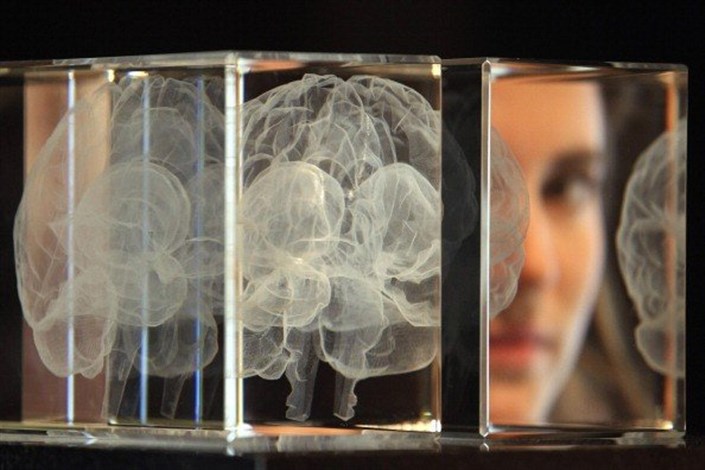 الگوریتم مغز انسان توسط دانشجوی واحد علوم و تحقیقات کشف شد