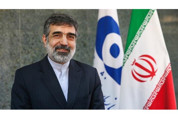 کمالوندی:  عضویت ایران در پروژه ایتر در مرحله نهایی قرار دارد