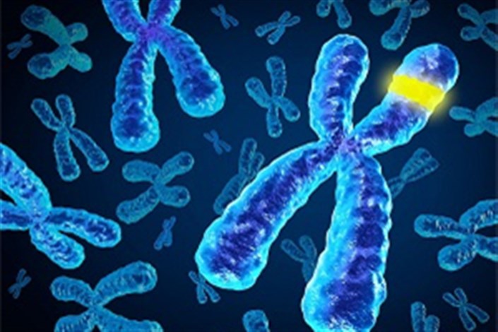 تاثیر ژنوم و سبک زندگی در درمان بیماری‌ها