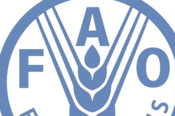 فائو: افزایش قیمت جهانی شکر و غلات در ماه ژانویه