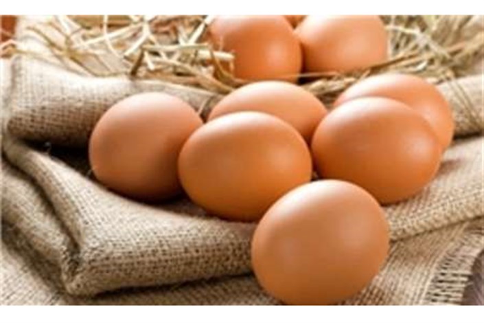 کاهش قیمت تخم مرغ در بازار امروز