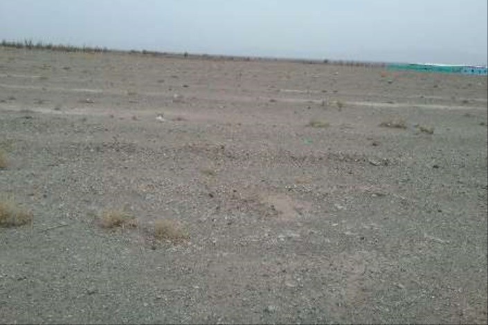 توسعه بی رویه کشاورزی مهمترین عامل کمبود آب در استان کرمان