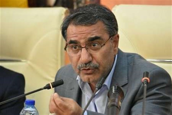 مدیرعامل شرکت ملی گاز ایران:  برجام سبب توسعه روابط شرکت ملی گاز ایران با شرکت های جهانی شد