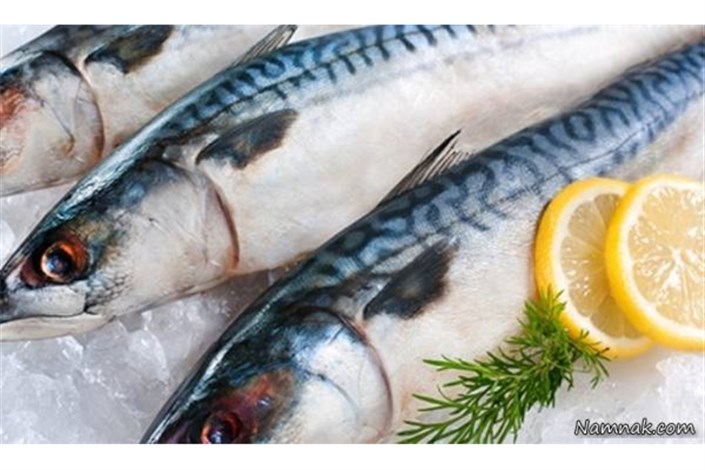 معاون وزیر کشاورزی: عرضه ماهی در نمایشگاه های نوروزی ادامه دارد