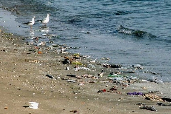 زخم زباله بر تن سواحل
