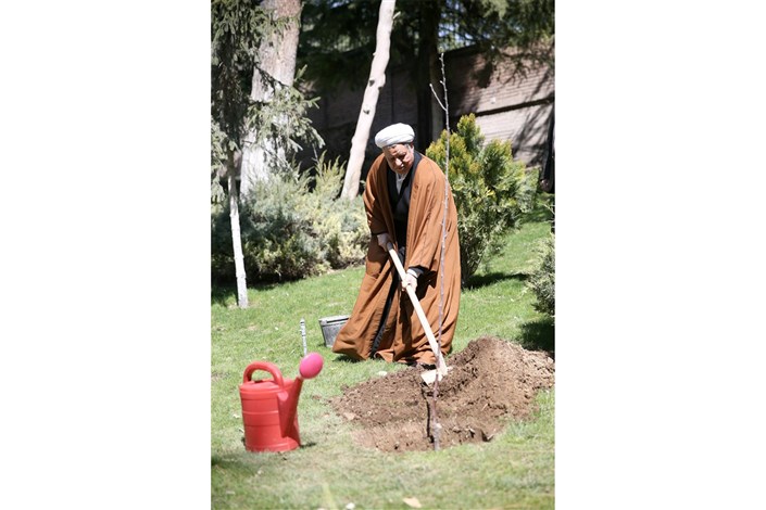 دل نوشته مدیر روابط عمومی مجمع تشخیص مصلحت نظام در روز درختکاری به یاد «آیت الله»