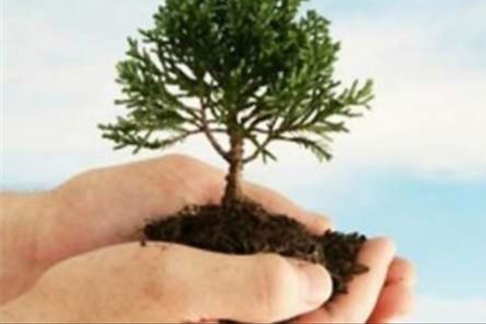 درختکاری و احیای محیط‌زیست مورد تأکید اسلام است