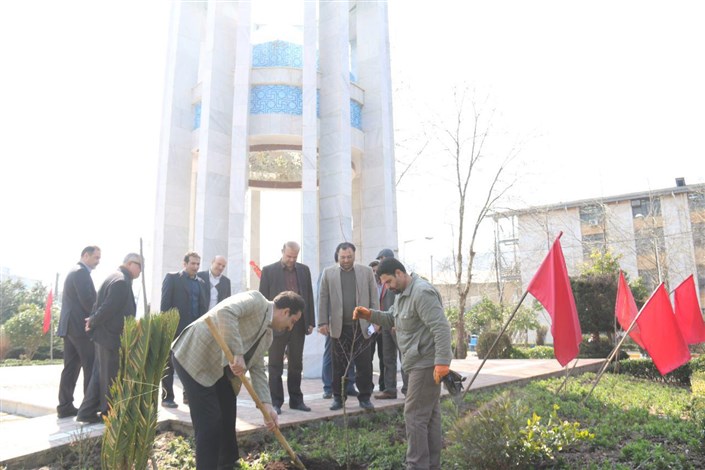 کاشت چندین اصله درخت در کنار مزار شهدای گمنام و محوطه دانشگاه آزاد اسلامی واحد لاهیجان