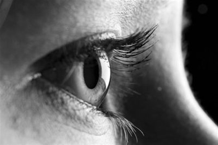 مردم کمتر به سرطان چشم توجه دارند/ مگس پرانی که نور دیده را پر می دهد