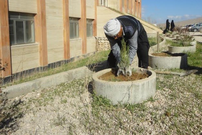  کاشت 100 اصله نهال در دانشگاه آزاد اسلامی واحد ایوان