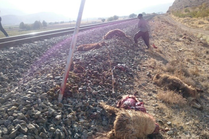 برخورد مرگبار با قطار تهران - مشهد