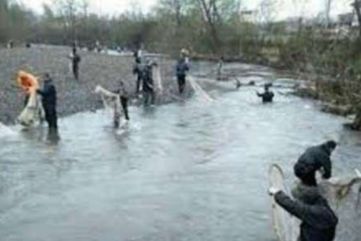  نسل کشی ماهیان مولد استخوانی در رودخانه های مازندران