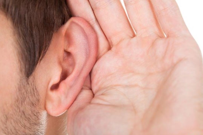 درمان آسیب‌های گوش با کرم ابریشم