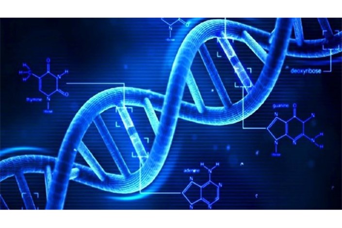 کشف توانایی تغییر DNA در "سرپایان"