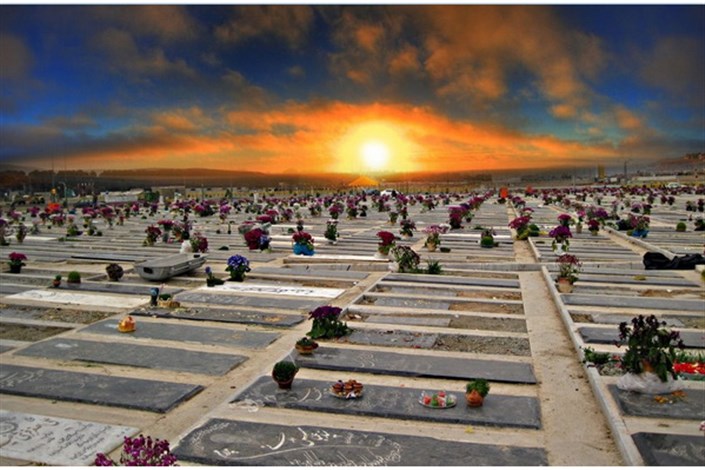 گل های پر پر شده روی  قبرها را جمع می کنند و  می فروشند /سلب آسایش خانواده اموات در بهشت زهرا