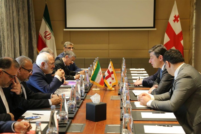 دیدار ظریف با وزیر اقتصاد و توسعه پایدار گرجستان