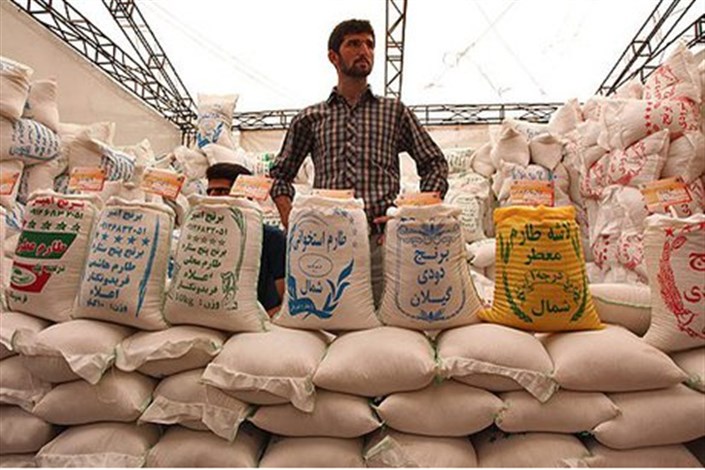 ارسال نامه‌ای به مقام معظم رهبری درباره واردات برنج