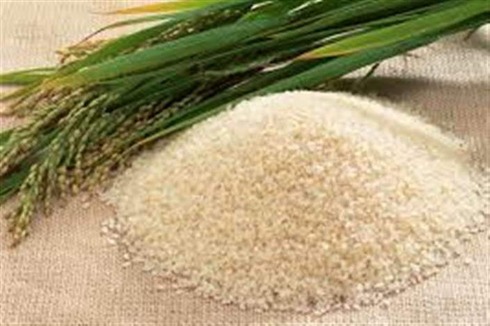 جدیدترین قیمت انواع برنج در بازار/ گران ترین نوع برنج  را بشناسید + جدول
