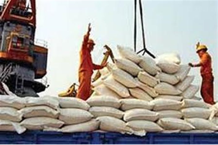 افت 24.4 درصدی واردات دولتی برنج در 11ماه پارسال