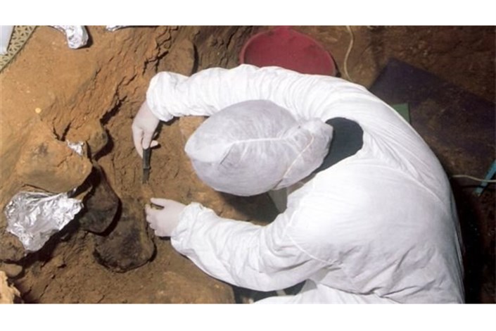 دی‌.ان‌.ای گونه‌های منقرض انسان در رسوبات غارها کشف شد